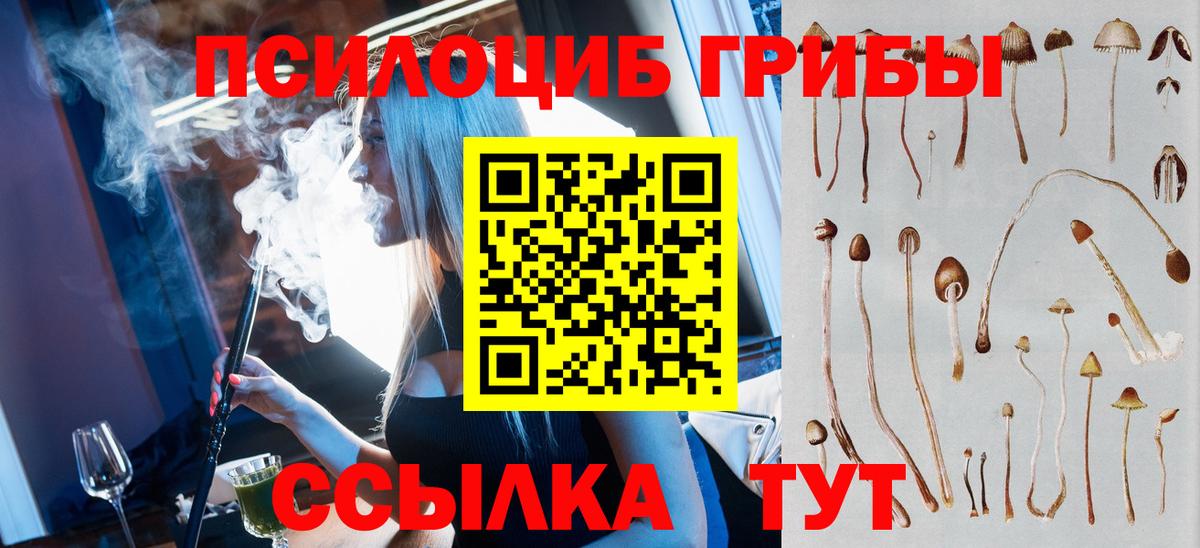 Узловая  Псилоцибиновые грибы мицелий  Вход с VPN 
