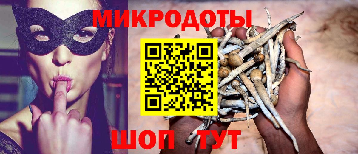 Галлюциногенные грибы GOLDEN TEACHER Узловая